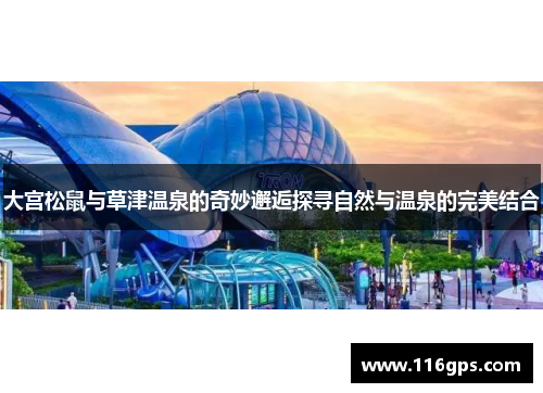 大宫松鼠与草津温泉的奇妙邂逅探寻自然与温泉的完美结合
